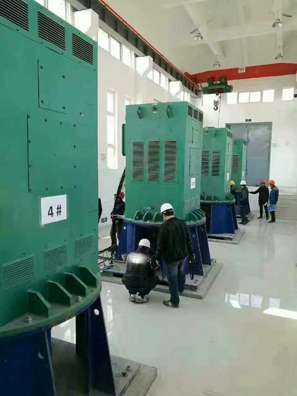 YKK4003-4/315KW某污水处理厂使用我厂的立式高压电机安装现场