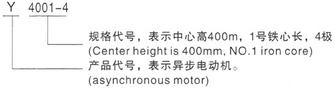 西安泰富西玛Y系列(H355-1000)高压YKK4003-4/315KW三相异步电机型号说明