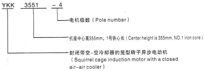 YKK系列(H355-1000)高压YKK4003-4/315KW三相异步电机西安泰富西玛电机型号说明